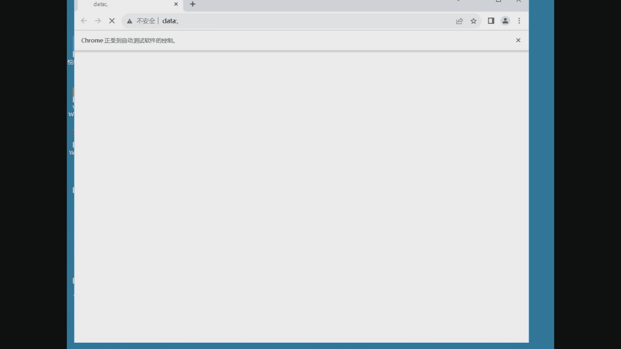 Web_updown_test
